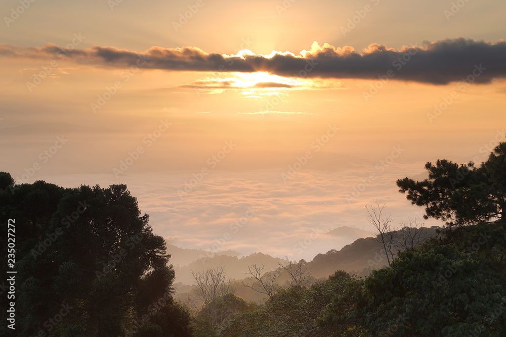 Beautiful scenery of the mist during sunrise at Huai Nam Dang National park ,Chiang Mai in Thailand. Here is the very popular for photographers and tourists. Attractions and natural Concept