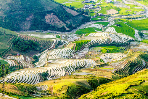 Rice terraces viewed from mountain top