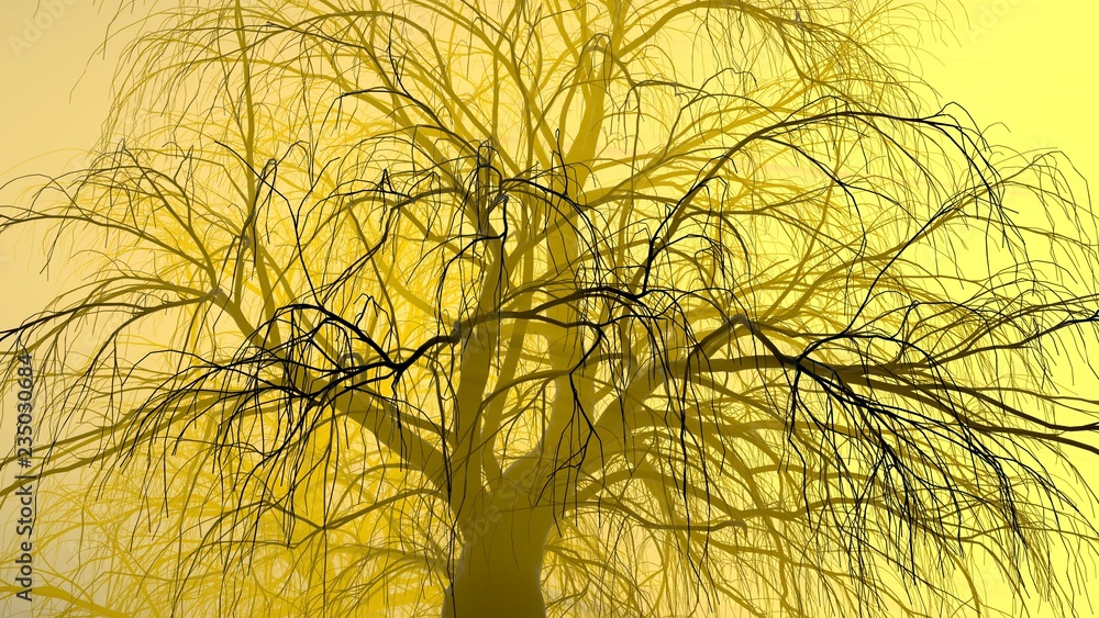 Lonely tree without leaves in fog or mist lit by bright orange sun god rays . 3d illustration. Travel and camping concept Lonely tree without leaves in fog or mist lit by bright orange sun god rays . 3d illustration. Travel and camping concept