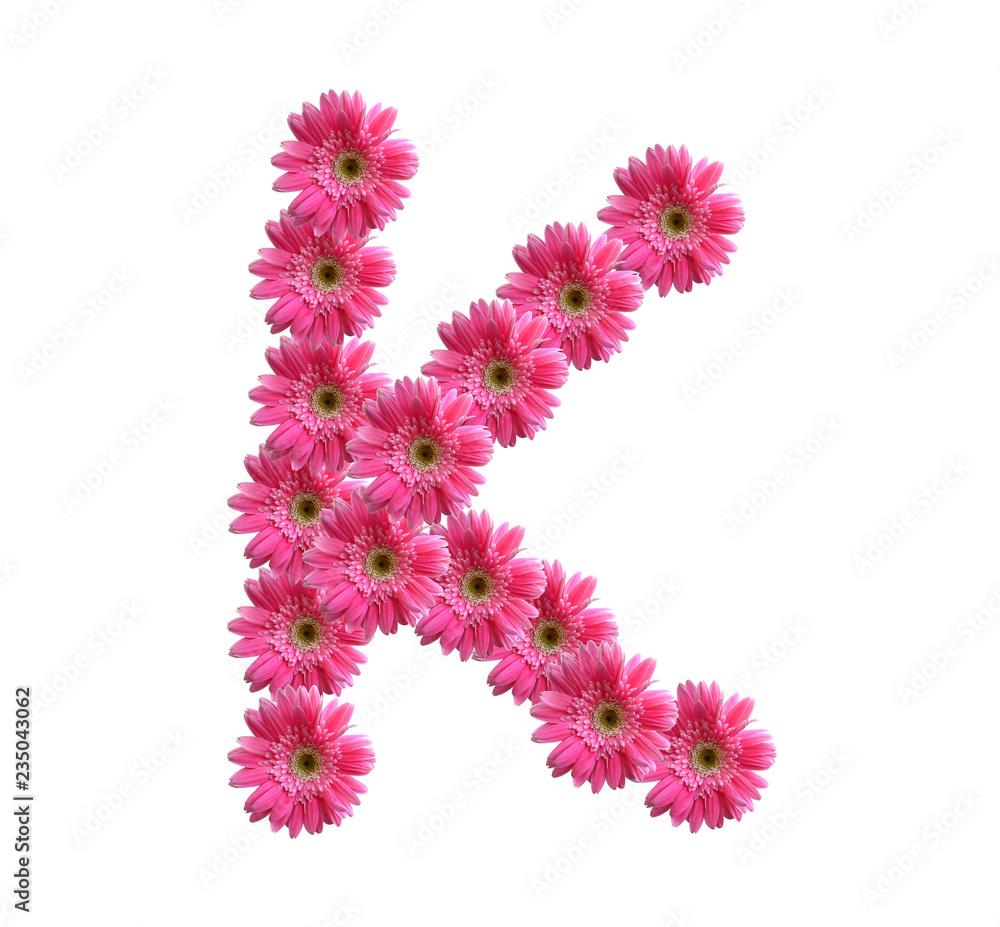 English alphabet from pink chrysanthemum English alphabet from pink chrysanthemum