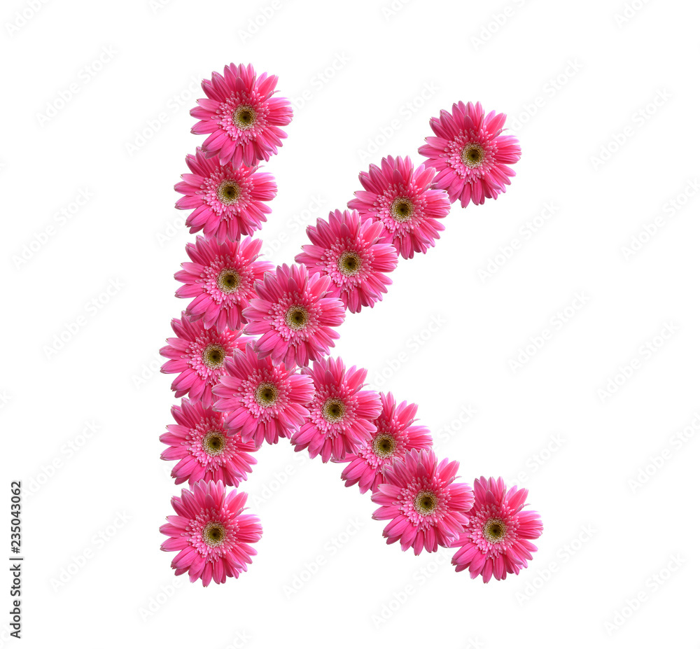 English alphabet from pink chrysanthemum