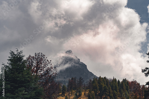mountain peak over forest