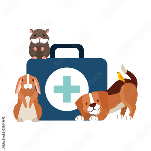 veterinary clinic petcare
