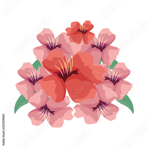 flowers bouquet decoration on white background