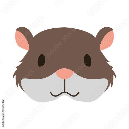 hamster rodent on white background