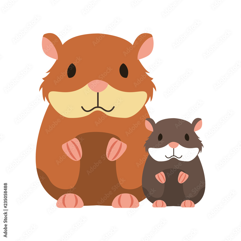 Fototapeta premium hamsters rodent on white background