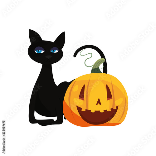 black cat halloween and pumpkin