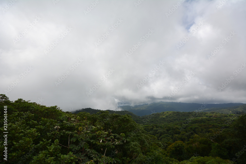 Clouds over Rainforest Clouds over Rainforest