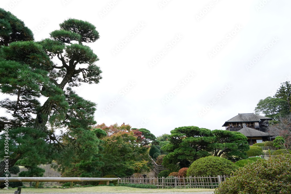 秋の偕楽園 秋の偕楽園