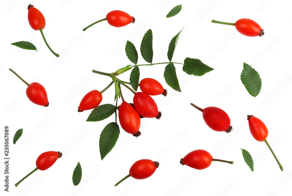 Rose hips isolated on white, top view Rose hips isolated on white, top view