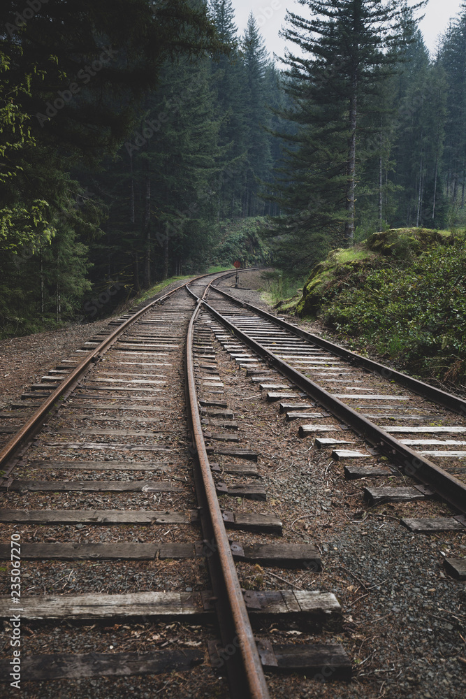 Train Track in Yacolt 