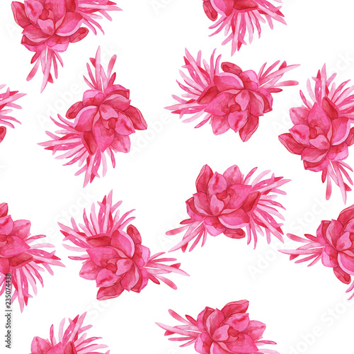 Seamless pattern with pink succulents on white background. Hand drawn watercolor illustration.