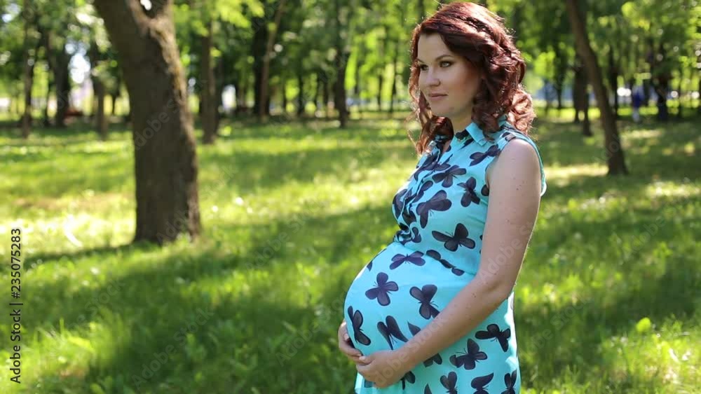 A young beautiful pregnant girl in a blue dress with butterflies walks in the Park among the flowering trees. A pregnant woman hugs her stomach in the park, the sun shines and the green grass. A young beautiful pregnant girl in a blue dress with butterflies walks in the Park among the flowering trees. A pregnant woman hugs her stomach in the park, the sun shines and the green grass.