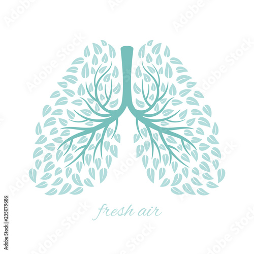 Lungs with foliage. Healthy ecological lungs with leaves anti tuberculosis concept vector illustration