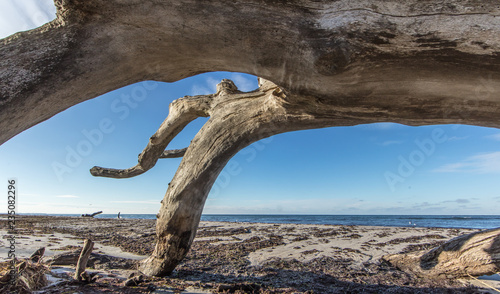 wilder strand