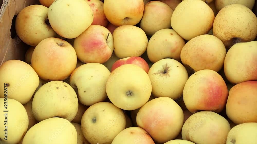 yellow apples in the market yellow apples in the market