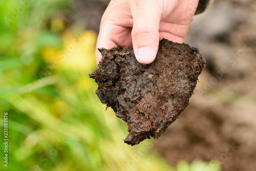 The peat is in male hand on a blurred background, close up. The researcher is holding his fingers a sample of mineral of organic origin in outdoors. photo