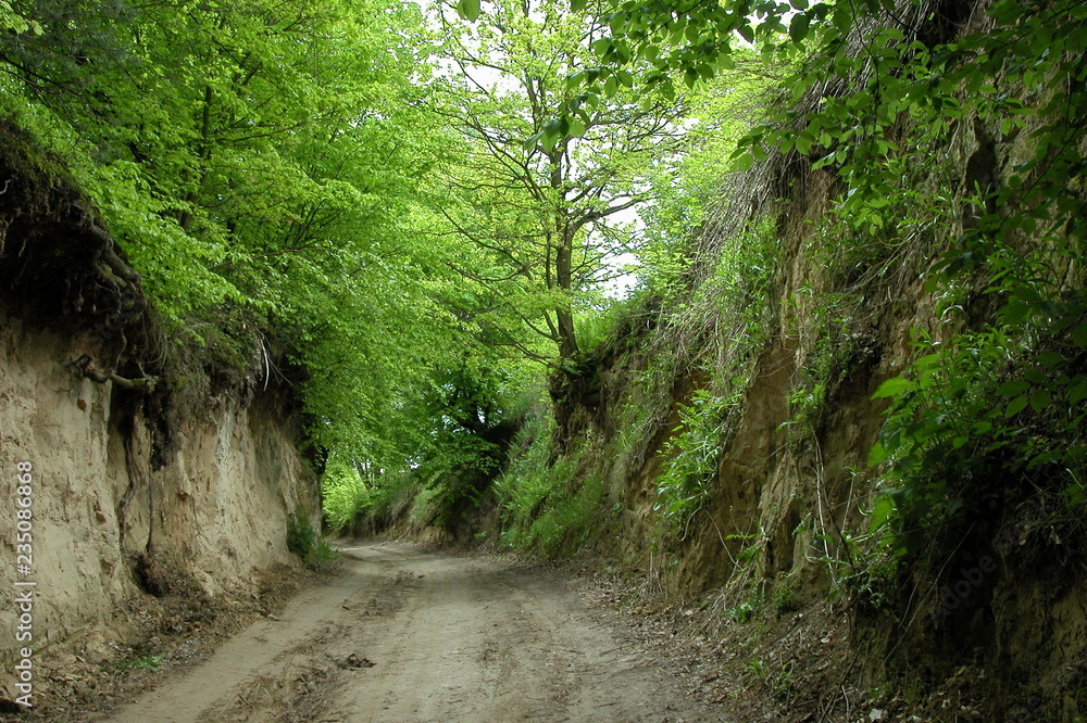 Bochotnica Bochotnica