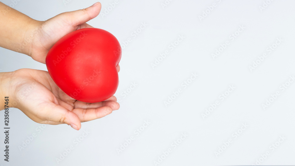 child hands holding red heart on white background white copy space.