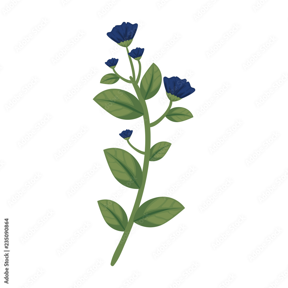 Obraz premium branch with flower and leafs