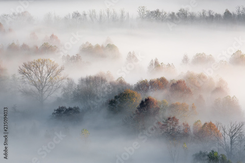 Paesaggio autunnale con nebbia e foschie, Lombardia, Italia