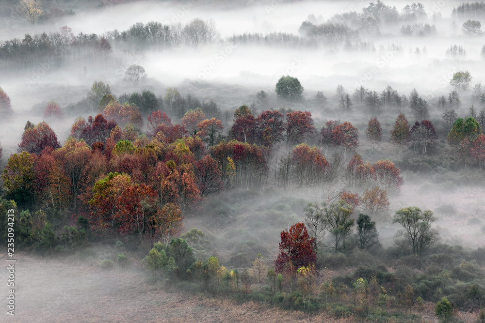 Fototapeta premium Paesaggio autunnale con nebbia e foschie, Lombardia, Italia