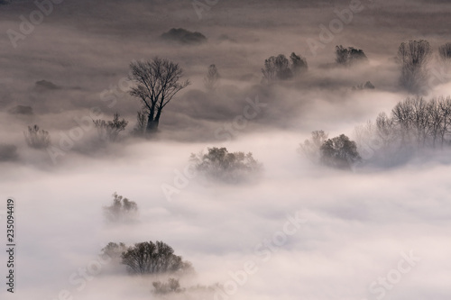 Nebbia sul fiume Adda, Italia
