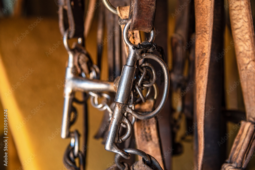 Leather horse bridles and bits hanging on a stable Leather horse bridles and bits hanging on a stable