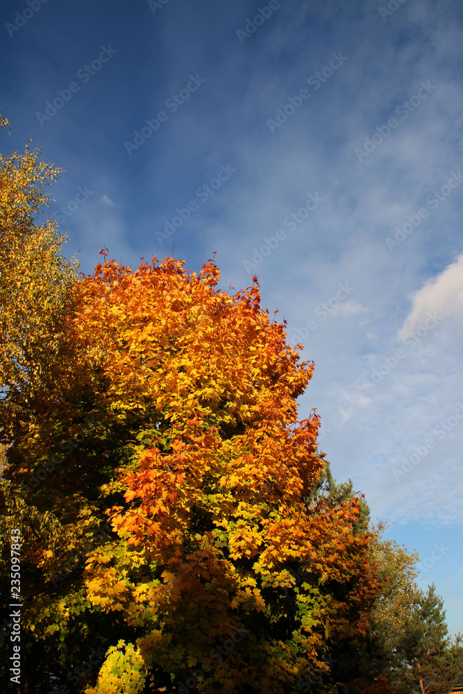 Goldener Oktober in Sachsen Anhalt