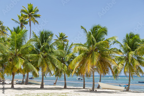 White boat under palm trees on a Caribbean beach. Fishing village