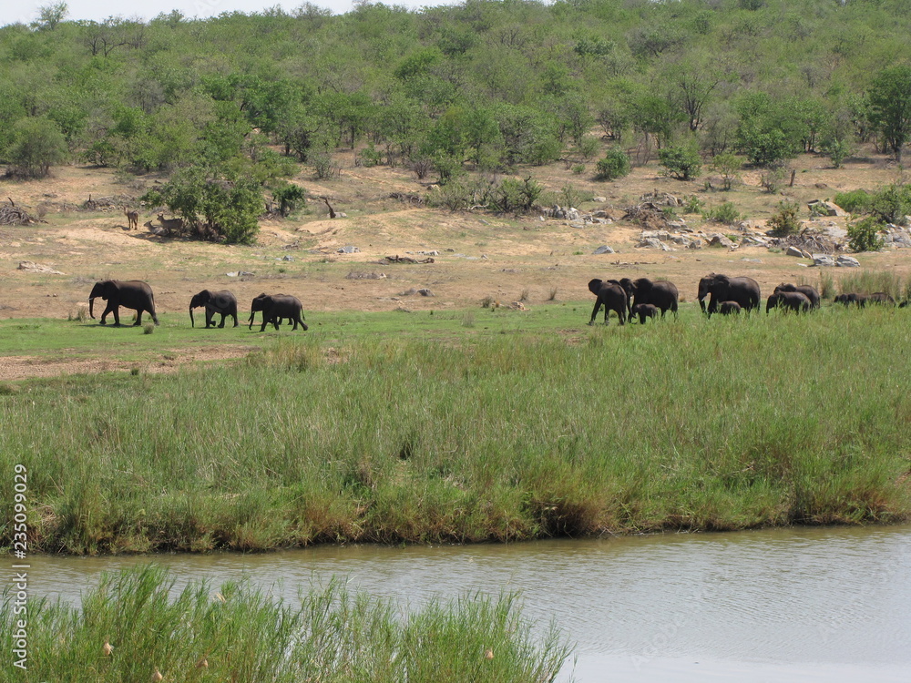 Afrika Tiere Natur Afrika Tiere Natur