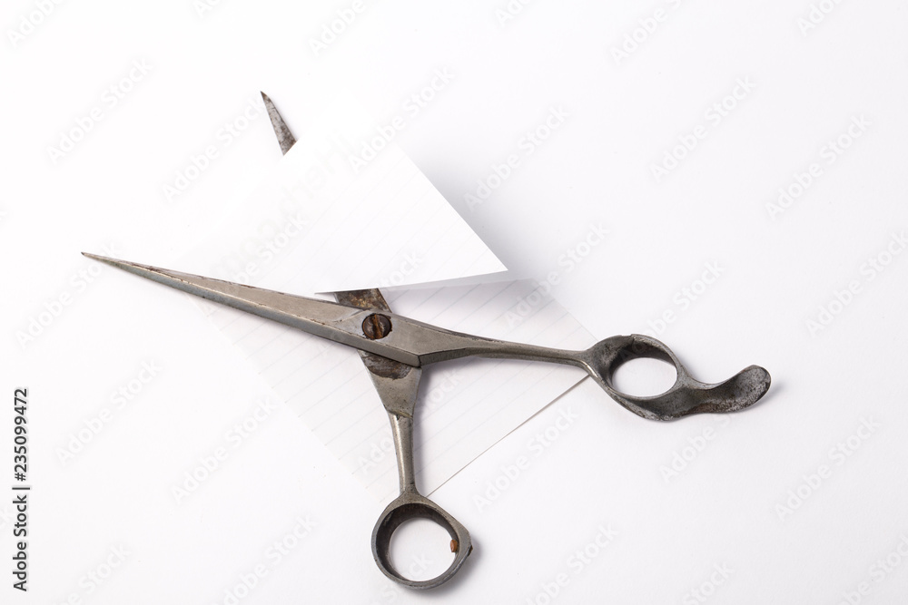 Professional scissors for haircuts isolated. Professional scissors for haircuts isolated.