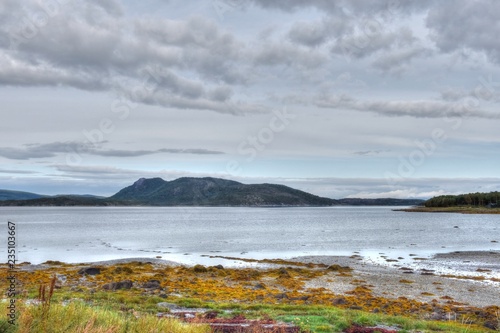 Norwegen, Bognes, Ufer, Strand, Ebbe, Bogstranda, Bogvika, Tang, Seetang, Wald, Straße, Kystveien, Küstenstraße, 17, Fv 17, Tysfjorden, Skrovkjosen, Ofoten, Tjeldsundet photo