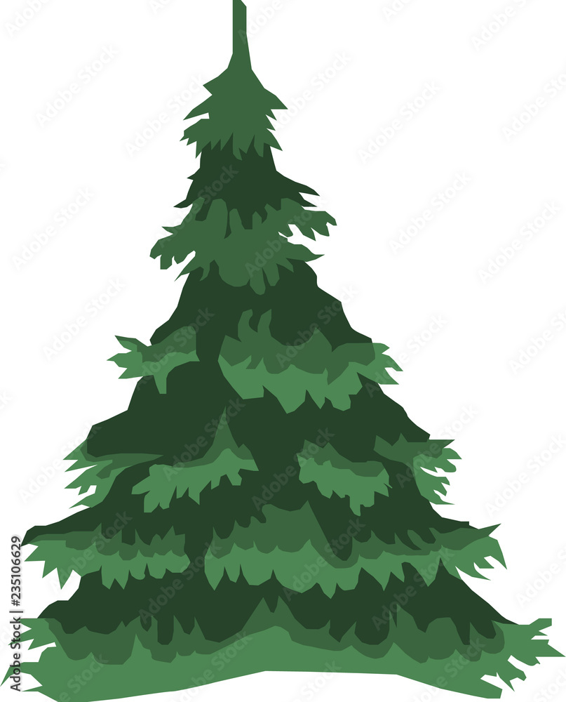 Fototapeta premium Green Christmas tree on a white background 
