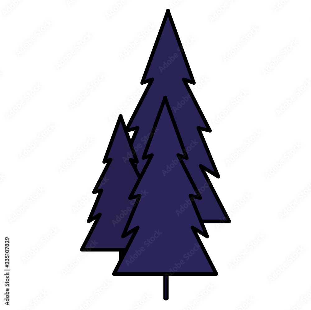 Obraz premium pines trees design