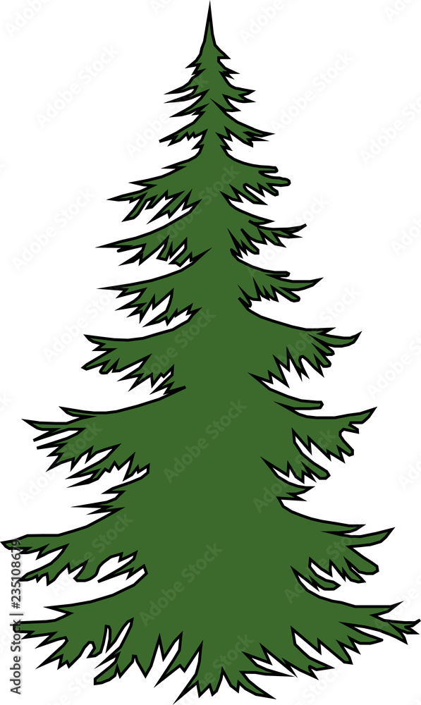Green Christmas tree on a white background
Green Christmas tree on a white background
