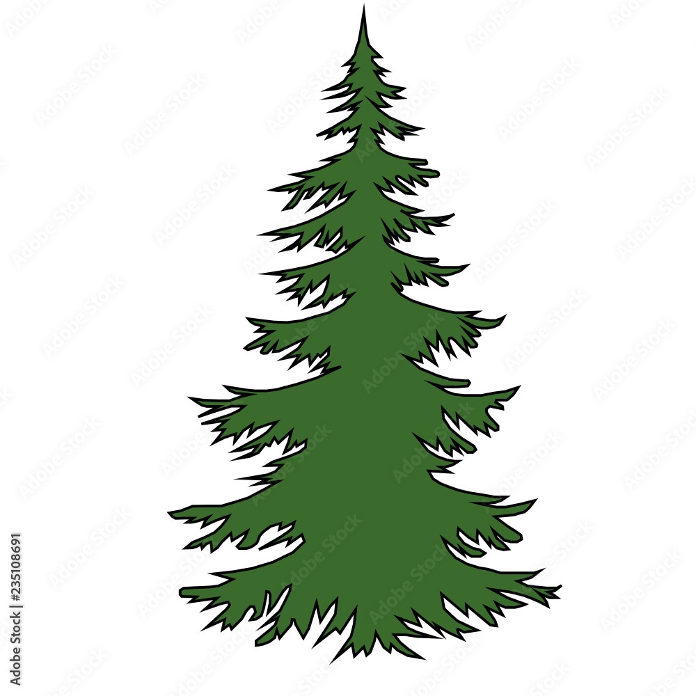 Green Christmas tree on a white background
Green Christmas tree on a white background