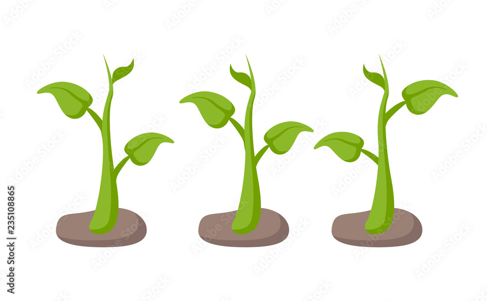 Green Plants in Garden Beds Set Cartoon Style Green Plants in Garden Beds Set Cartoon Style