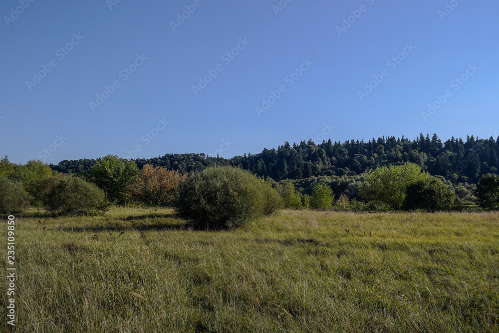 River from the slope