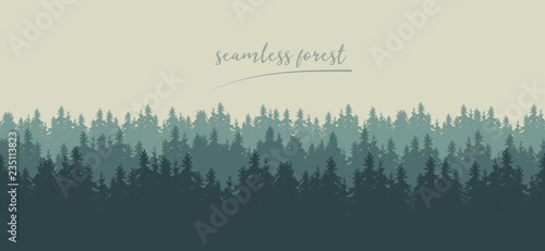 Realistic seamless illustration of silhouettes of green coniferous spruce or fir forest, under winter sky