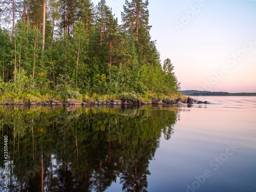 Forest on the shore of a quiet lake during the evening dawn