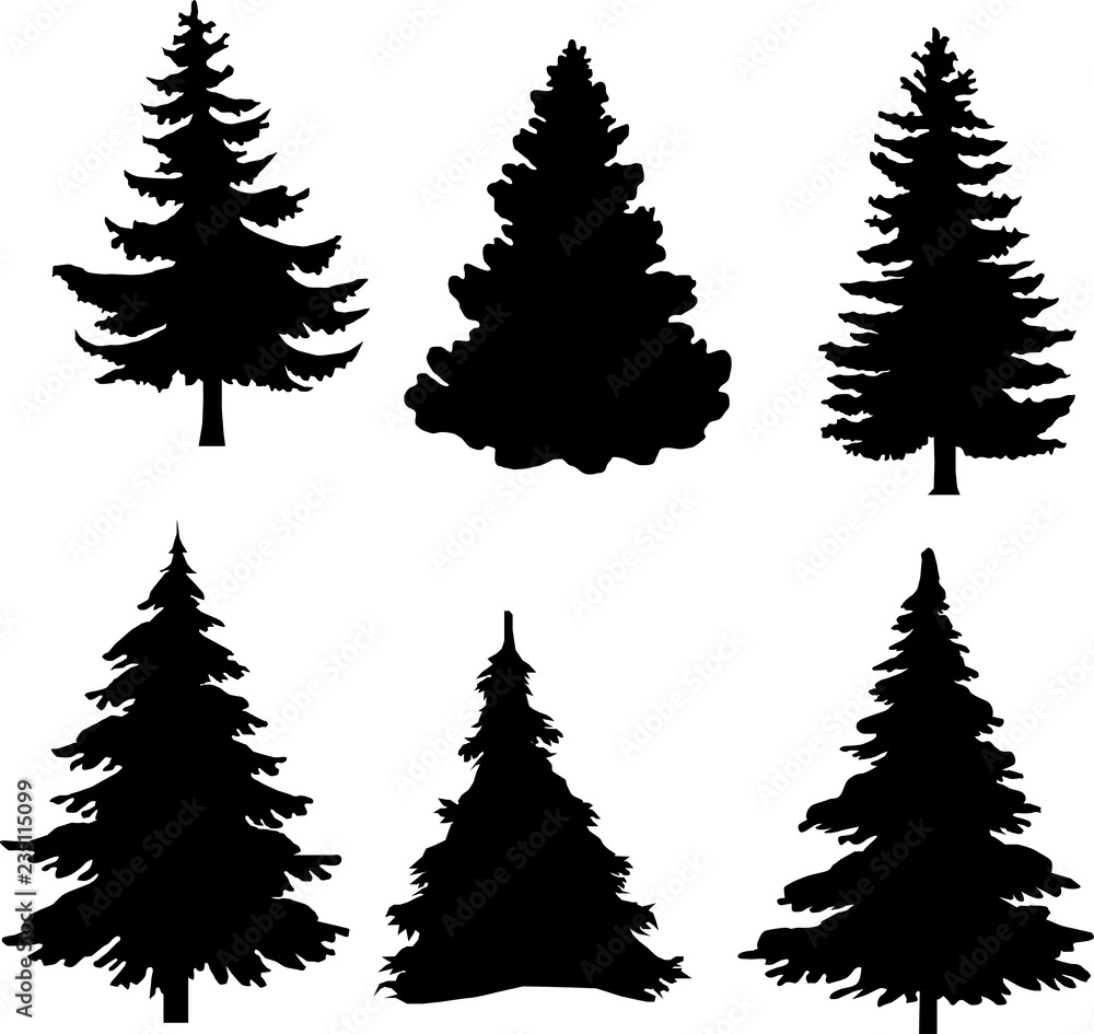 Fototapeta premium Shadow of green christmas trees on white background 