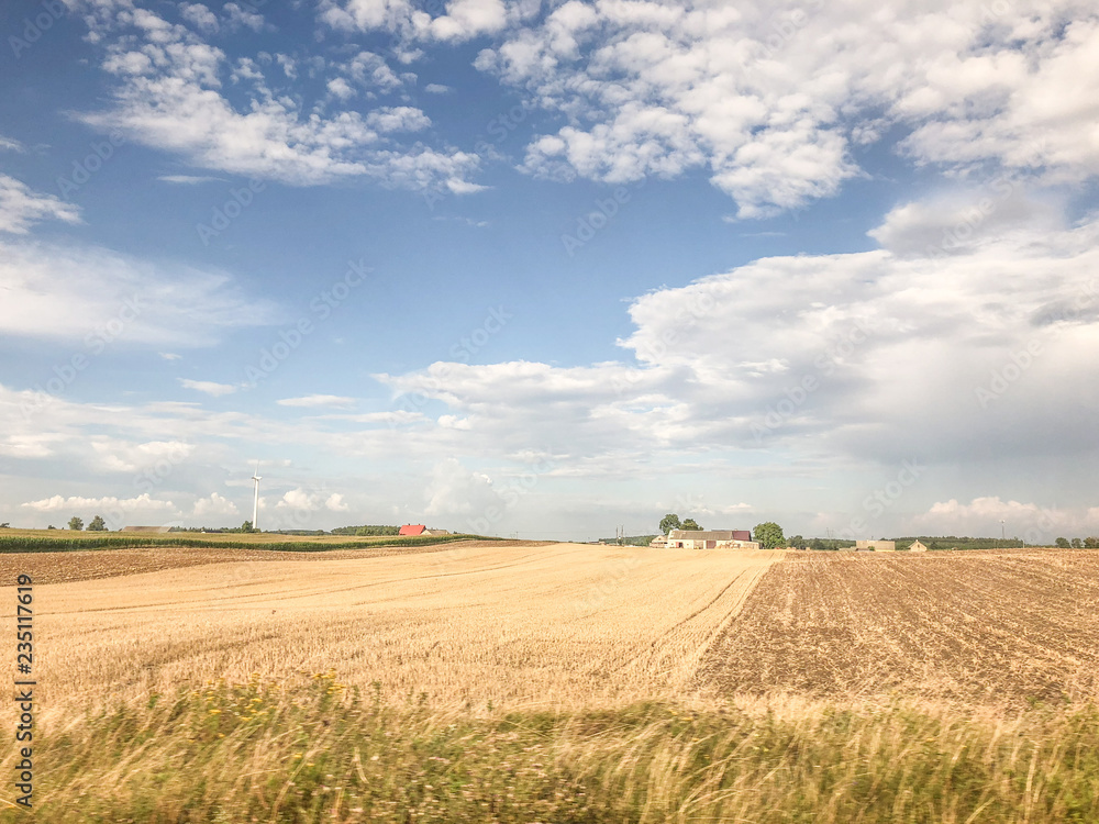 field and blue sky