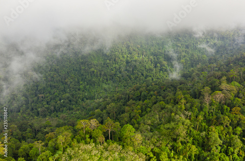 Low clouds and fog forming above mountainous tropical rainforest