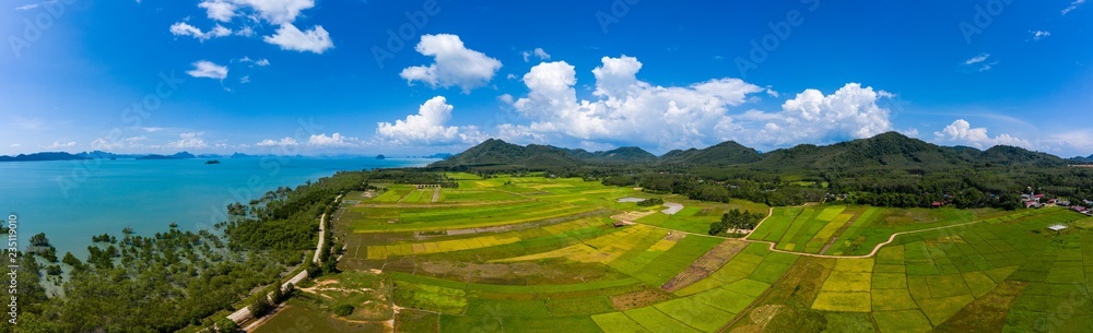 Aerial panorama of a patchwork of rice paddys and fields in Asia