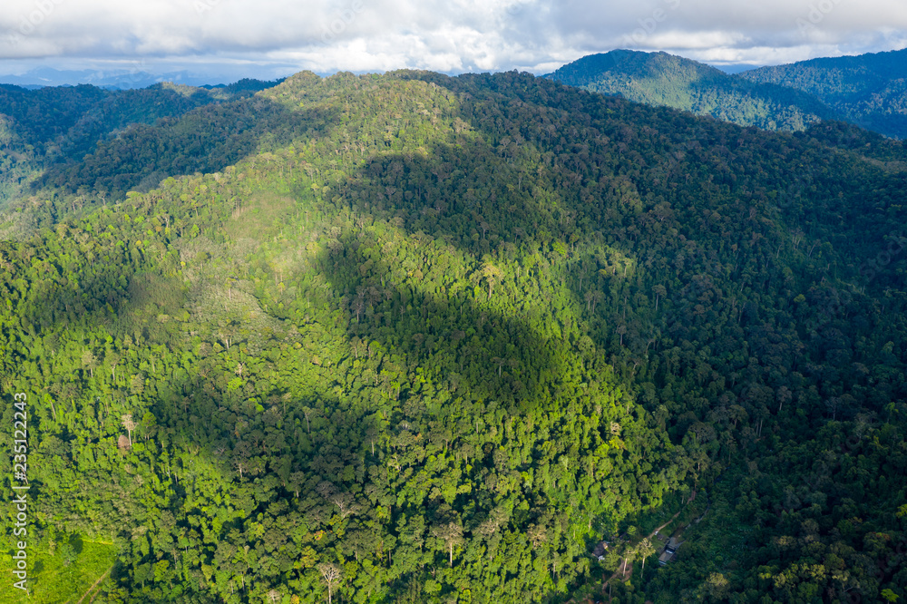 Aerial view of dense, mountainous tropical rainforest in Thailand