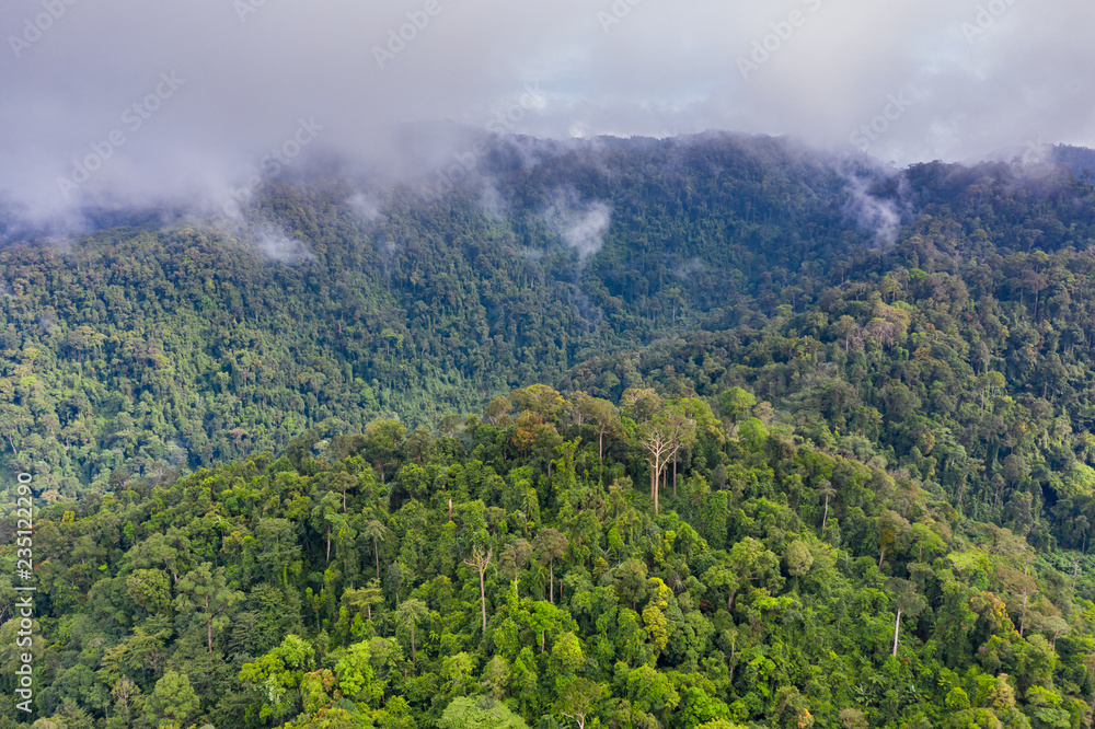 Obraz premium Aerial view of cloud hanging over dense, mountainous tropical jungle