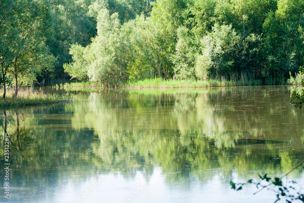 lake in the forest. Natural vegetation reflected from the water. lake in the forest. Natural vegetation reflected from the water.