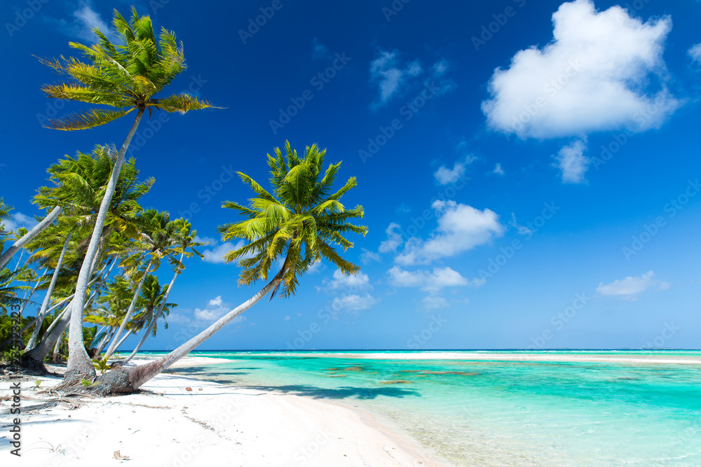 travel, seascape and nature concept - tropical beach with palm trees in french polynesia - obrazy, fototapety, plakaty 