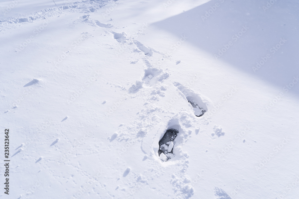 Footprint and hands on snow